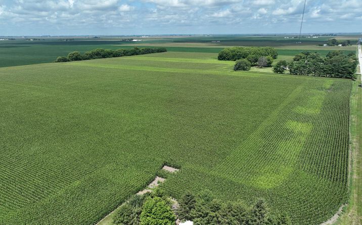 Pictures of Land property located at S East St, Oreana, IL 62554 for sales - image #1