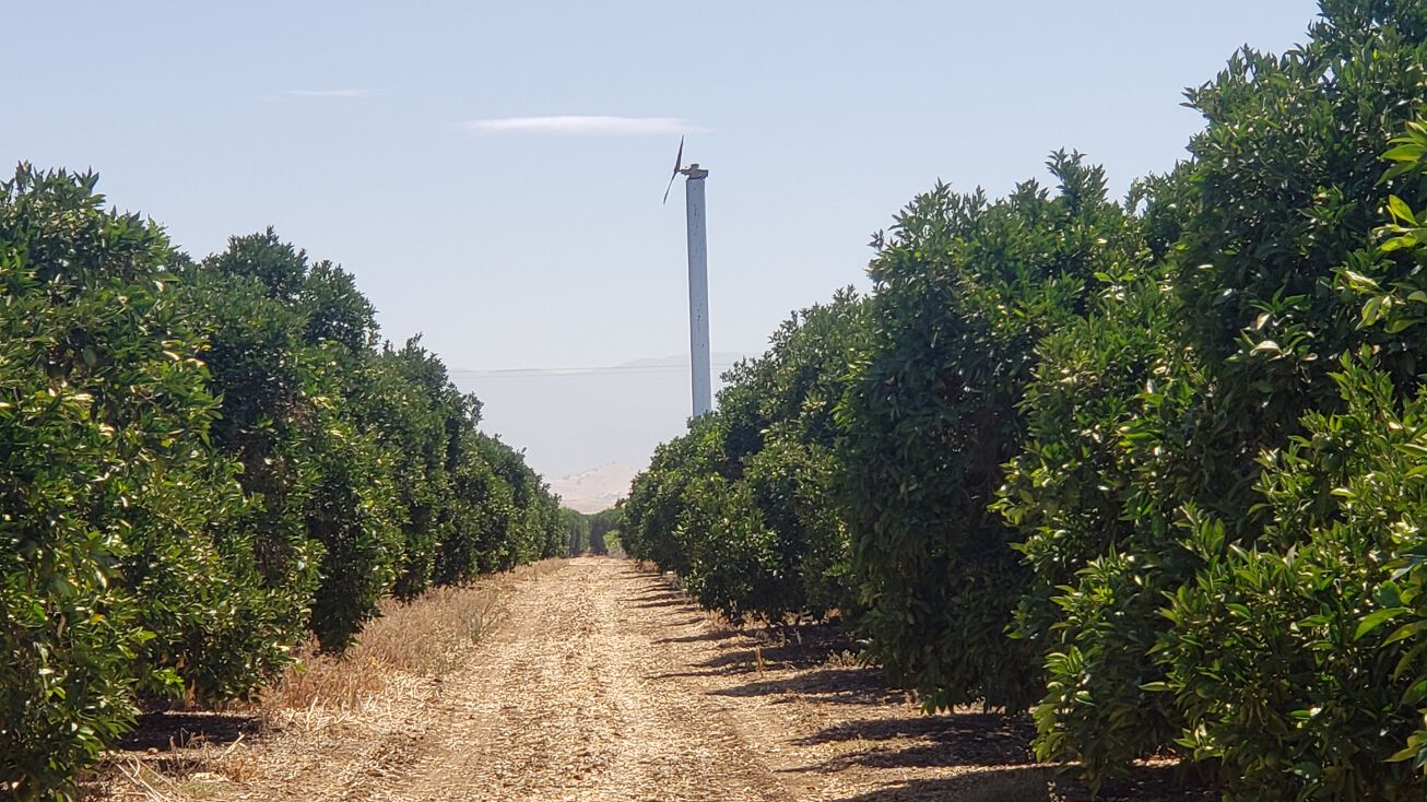 Ave 74, Terra Bella, CA 93270