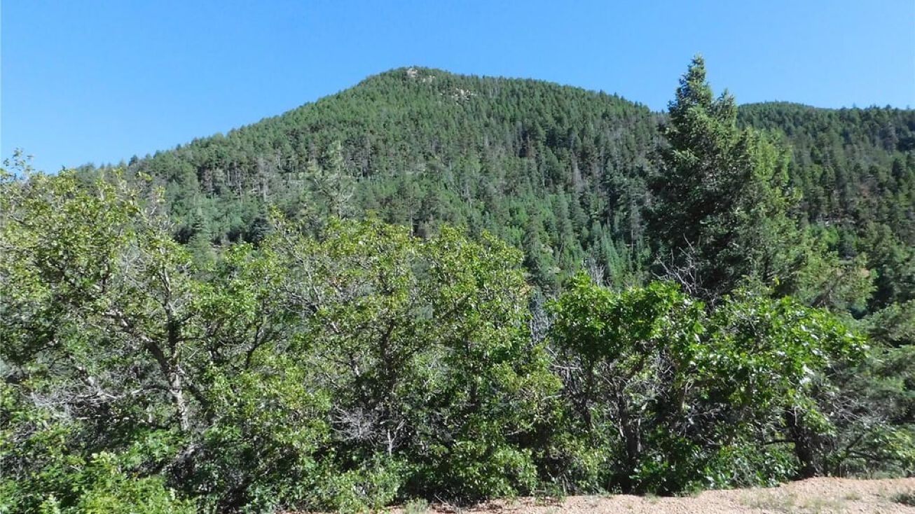 5805 Cheyenne Dr, Larkspur, CO 80118