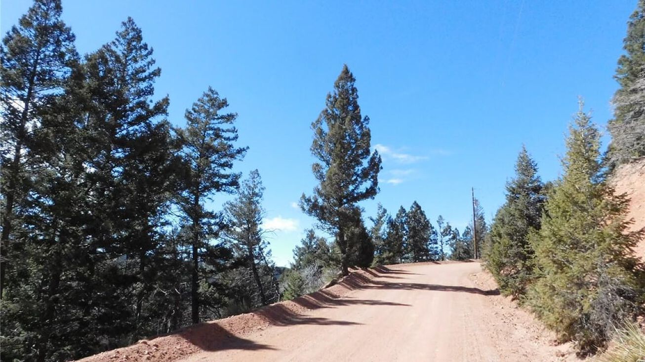 13420 Spruce Creek Cir, Larkspur, CO 80118