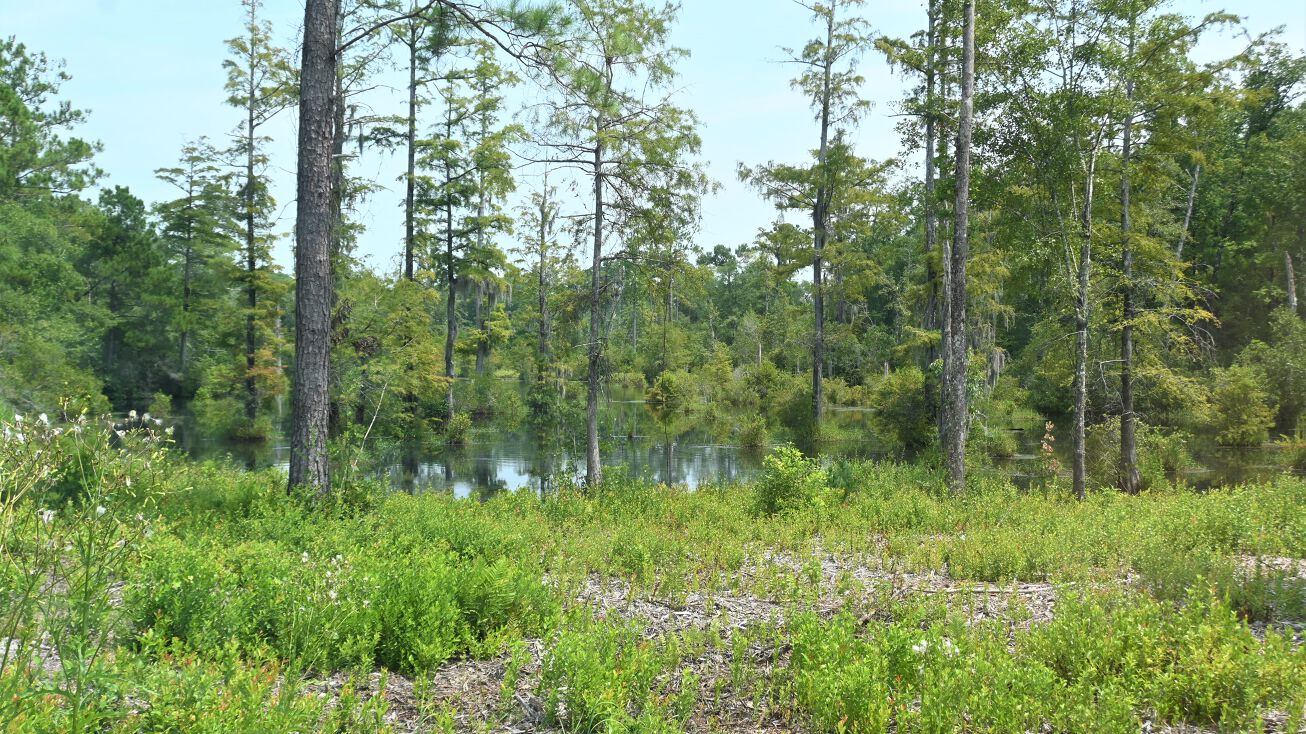 1540 Green Hill Rd NE, Leland, NC 28451