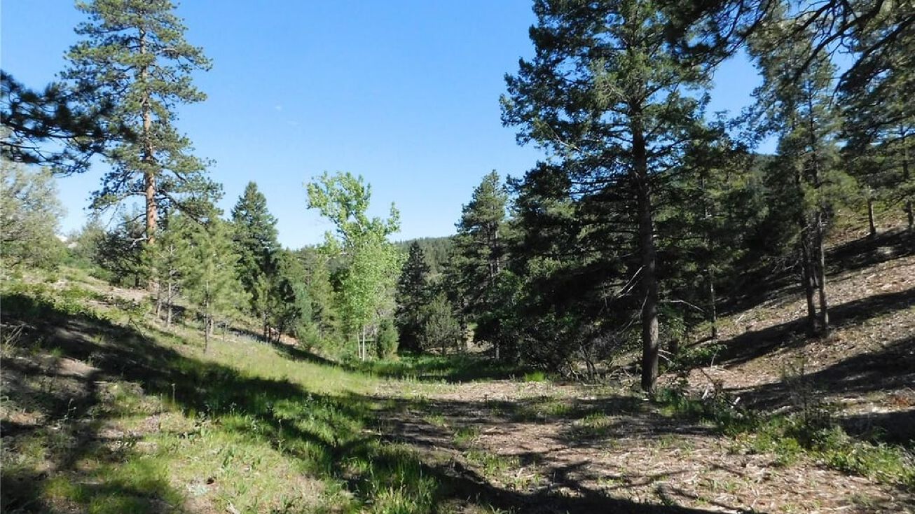 5884 Seminole Trail, Larkspur, CO 80118