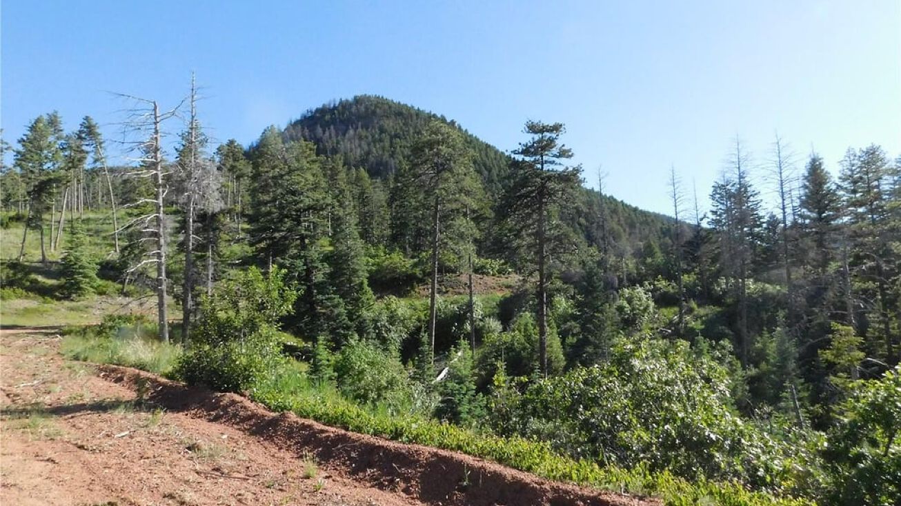 5425 Cheyenne Dr, Larkspur, CO 80118