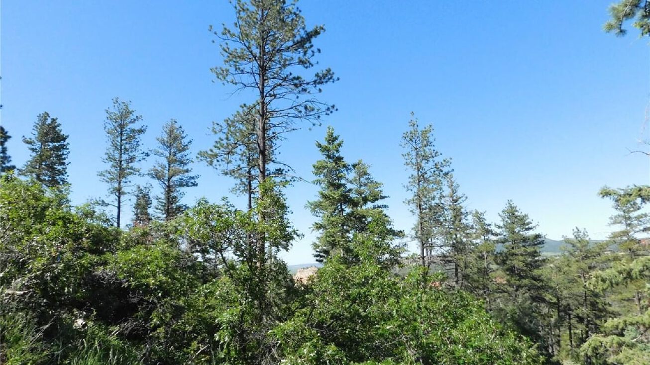 4999 Cheyenne Dr, Larkspur, CO 80118