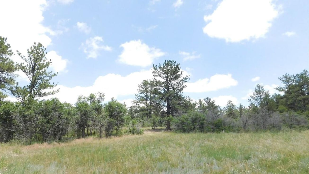 2659 Senecio Dr, Larkspur, CO 80118