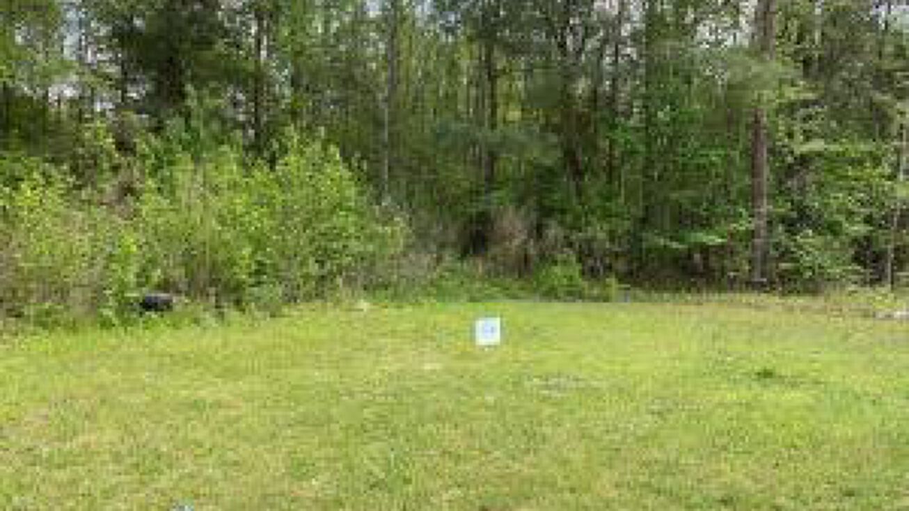 106 Dovetail Lane, Blackville, SC 29817