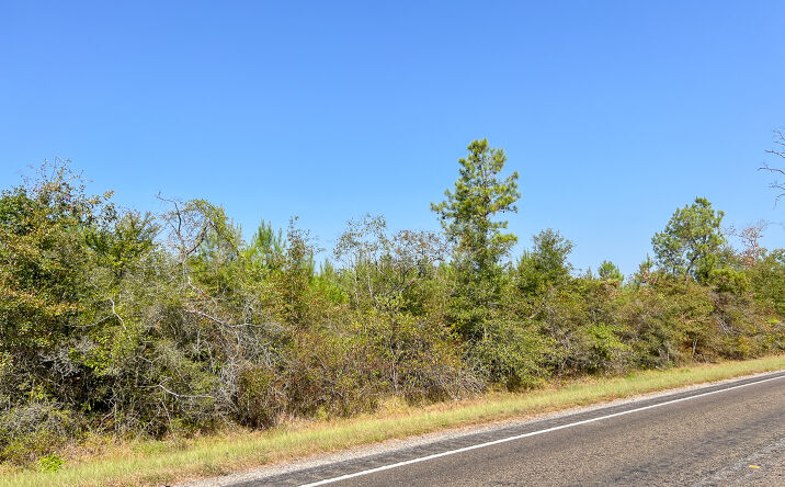 Pictures of Land property located at 0 FM 1008, Dayton, TX 77535 for sales - image #1