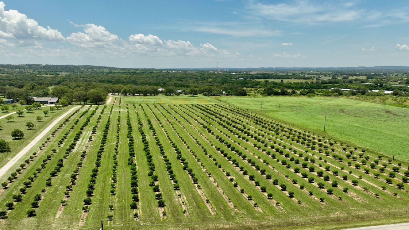 640 Luckenbach Rd, Fredericksburg, TX 78624