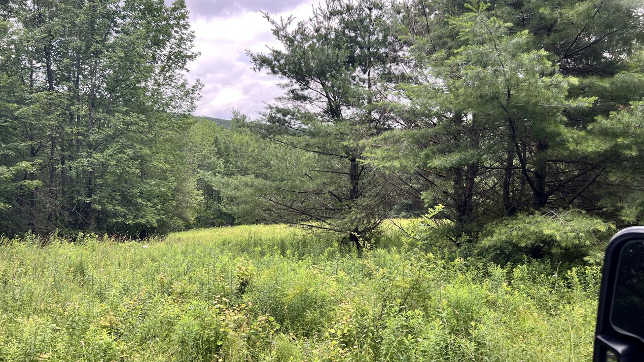 341 Smith Rd, Richmondville, NY 12149