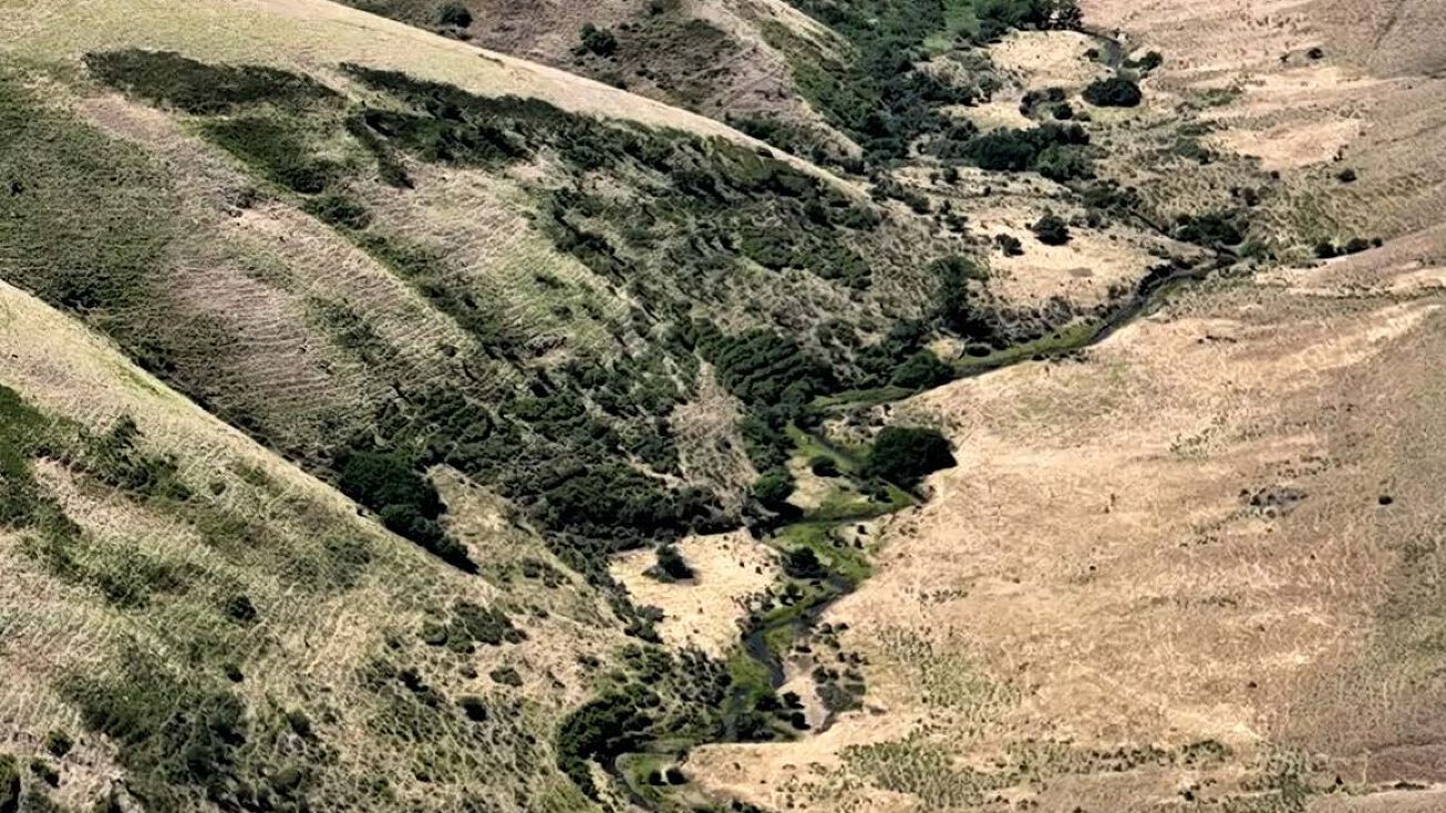 Hutchens Hill Rd, Pomeroy, WA 99347