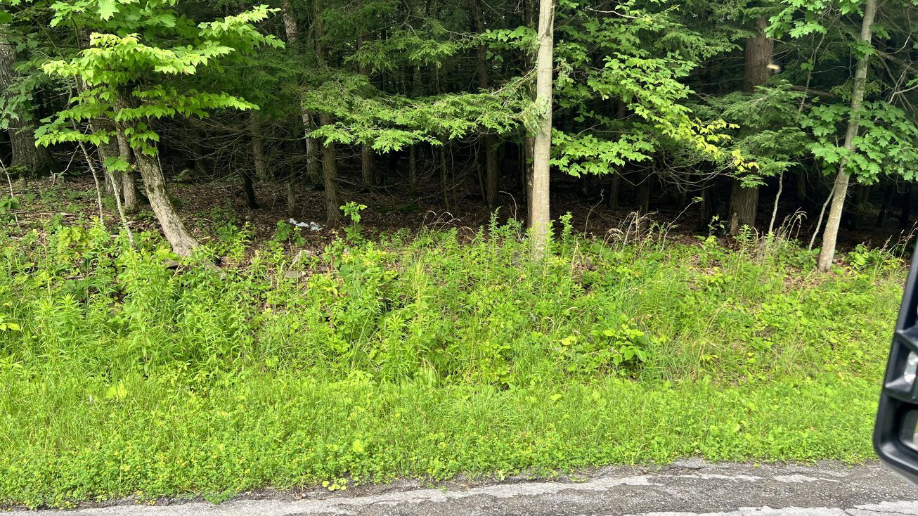 325 Smith Rd, Richmondville, NY 12149