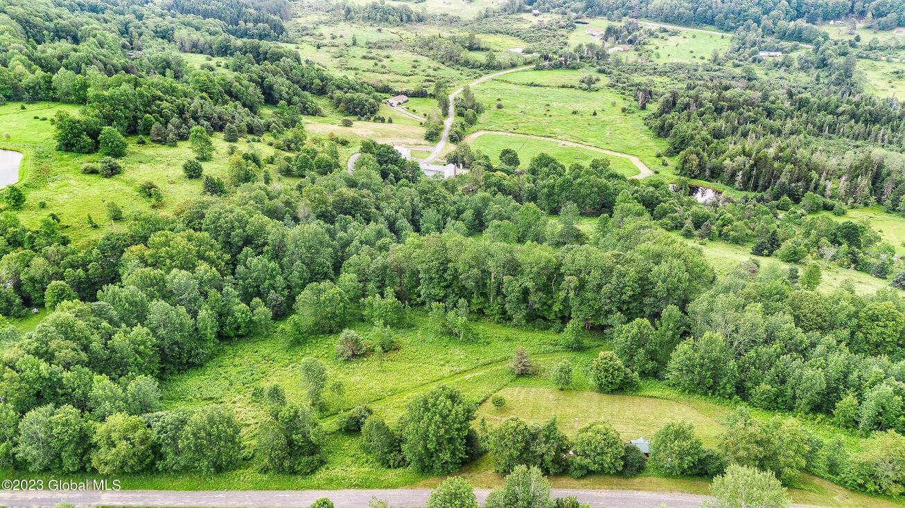 157 Whitetail Mountain Rd, Summit, NY 12175