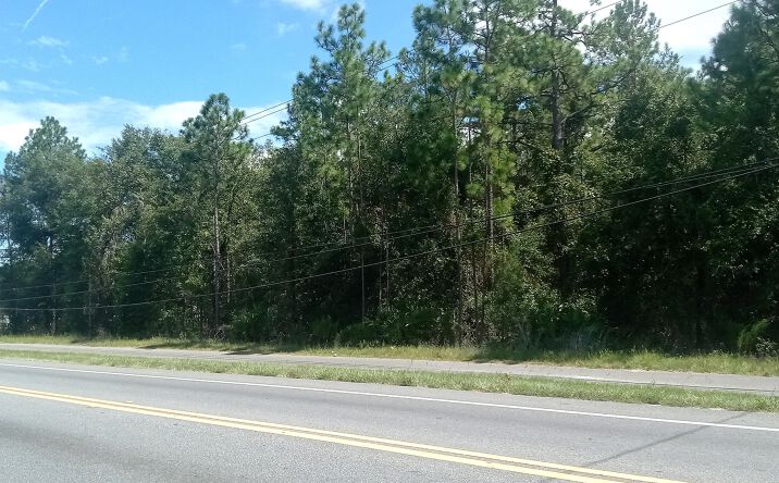 Pictures of Mixed Use, Land, Special Purpose, Retail property located at 4183 COUNTY ROAD 218, Middleburg, FL 32068 for sales - image #1