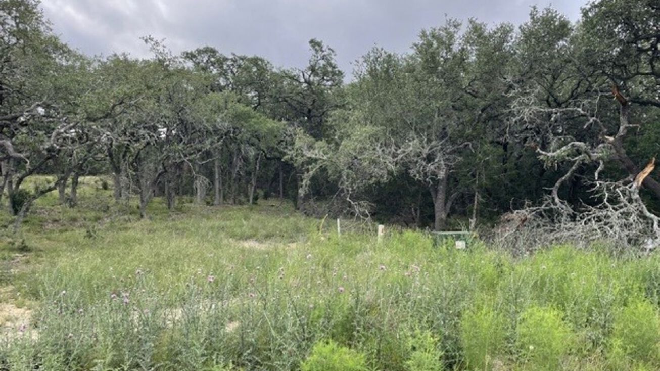 34810 Toms Lookout Rd, Bulverde, TX 78163