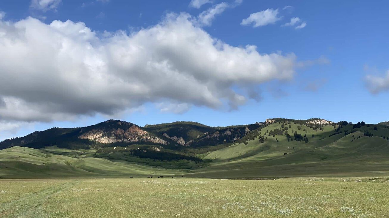 Little Fork Rd, Buffalo, WY 82834 | Crexi.com