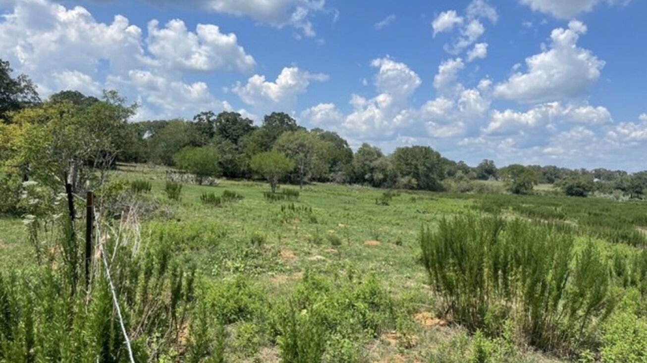 3505 County Rd 476, Nixon, TX 78140