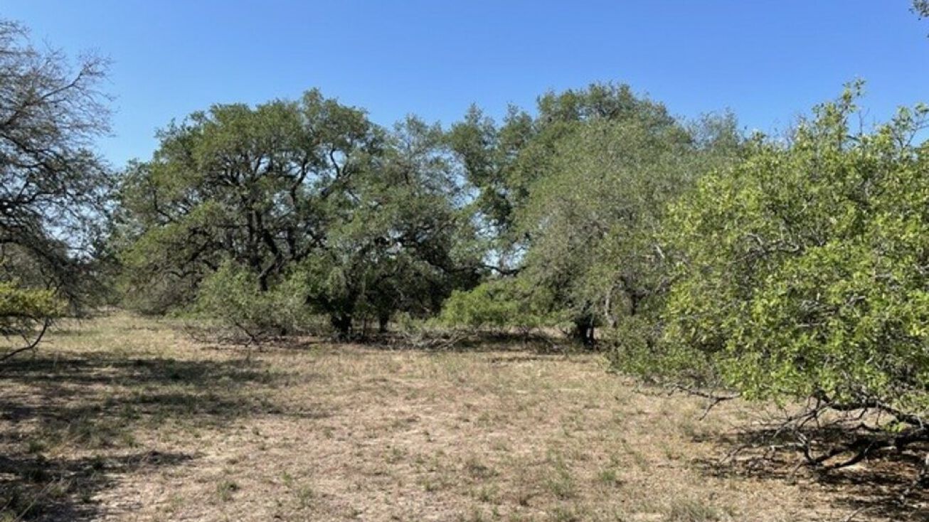 Tract1 10.73a County Road 777, Devine, TX 78016