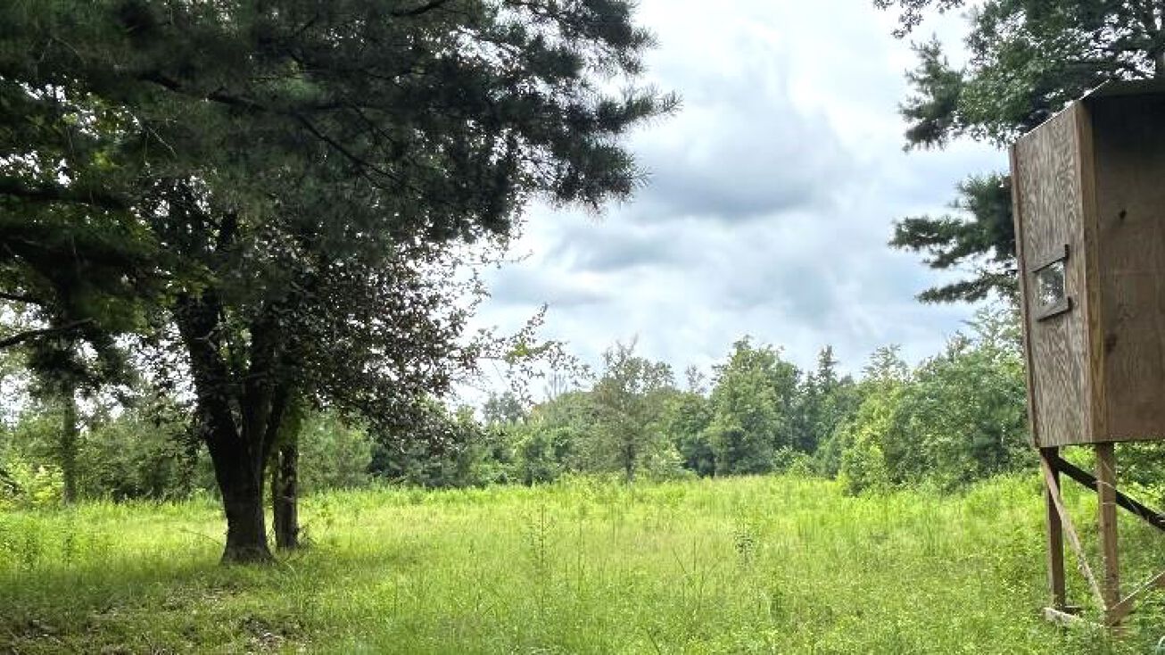 Greene County, Leakesville, MS 39451