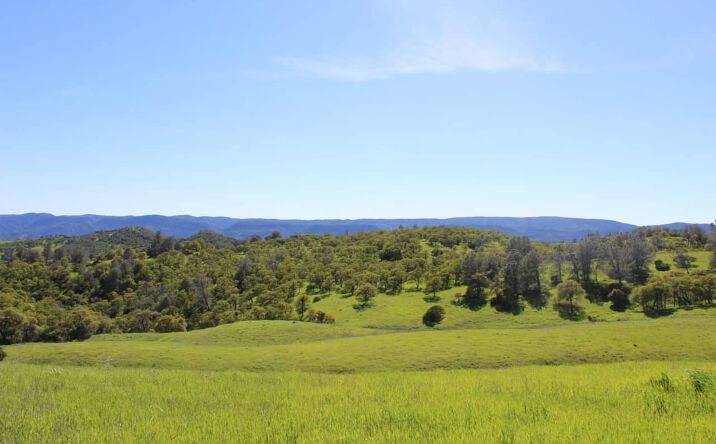 Pictures of Land property located at 20475-2047 County Road 57, Guinda, CA 95637 for sales - image #1