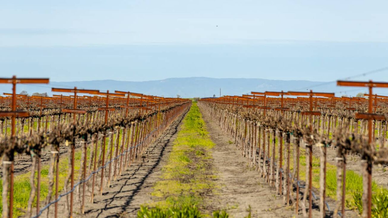 37830 Jefferson Blvd, Clarksburg, CA 95612