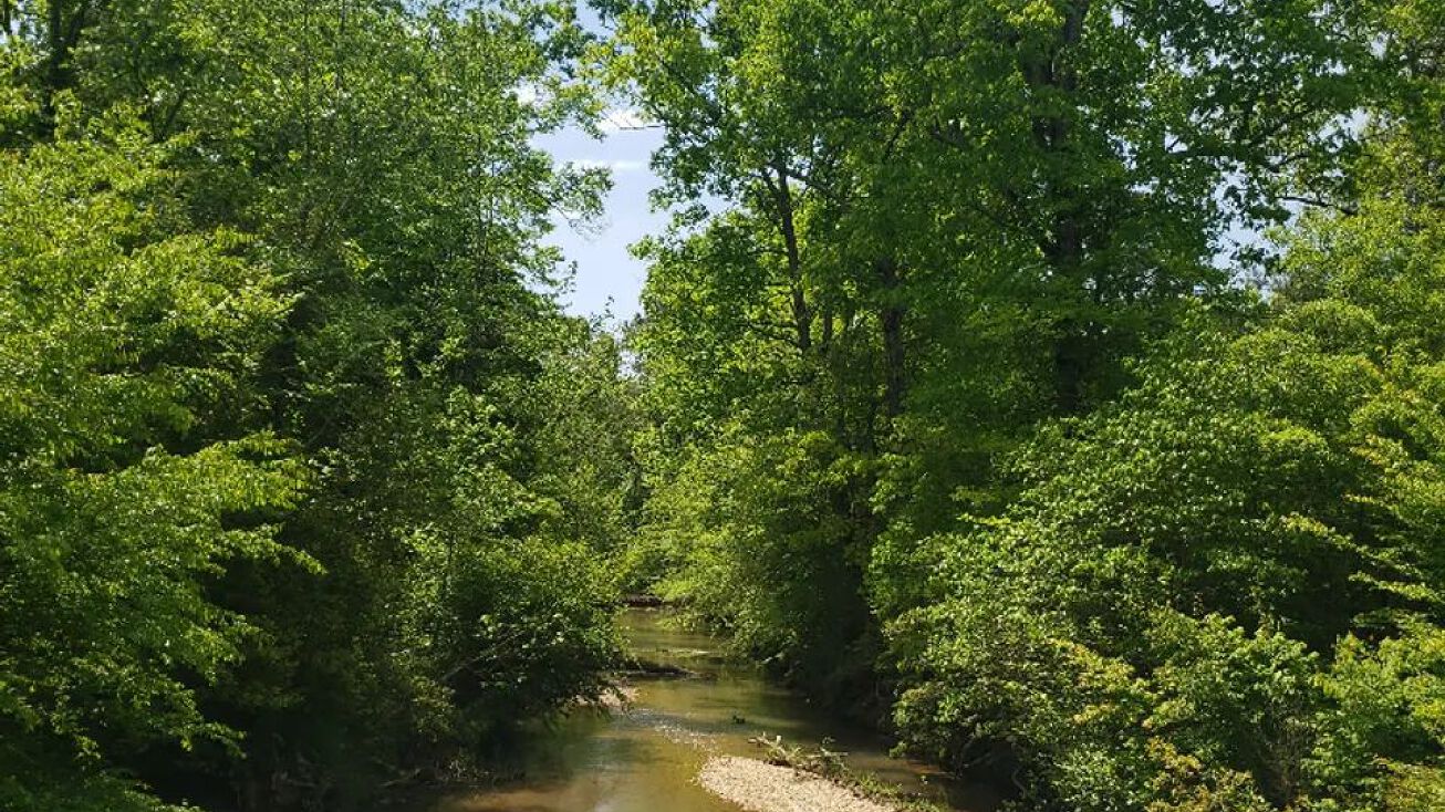 Vaughn Creek, Delight, AR 71940