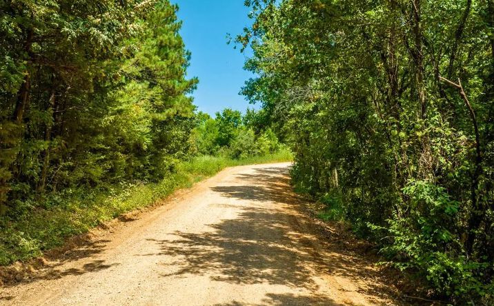 Pictures of Land property located at Hidden Embers, Lockesburg, AR 71846 for sales - image #1
