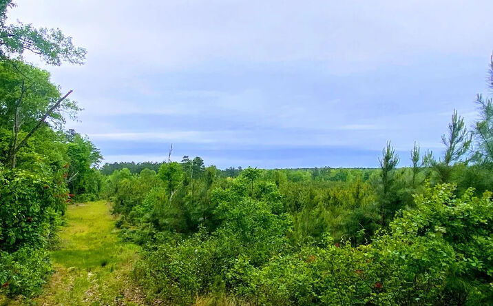 Pictures of Land property located at 00 CR 19, Washington, AR 71801 for sales - image #1
