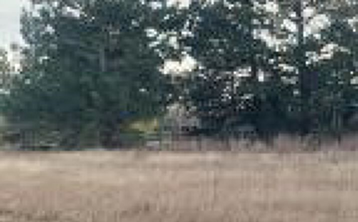Pictures of Land property located at 00 Sc Highway 191 Johnston Hwy., Trenton, SC 29847 for sales - image #1