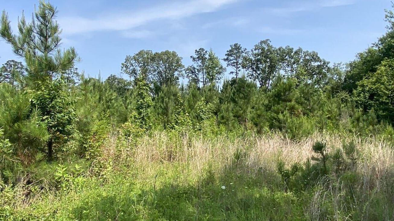 Falcon Lane, Rosston, AR 71858