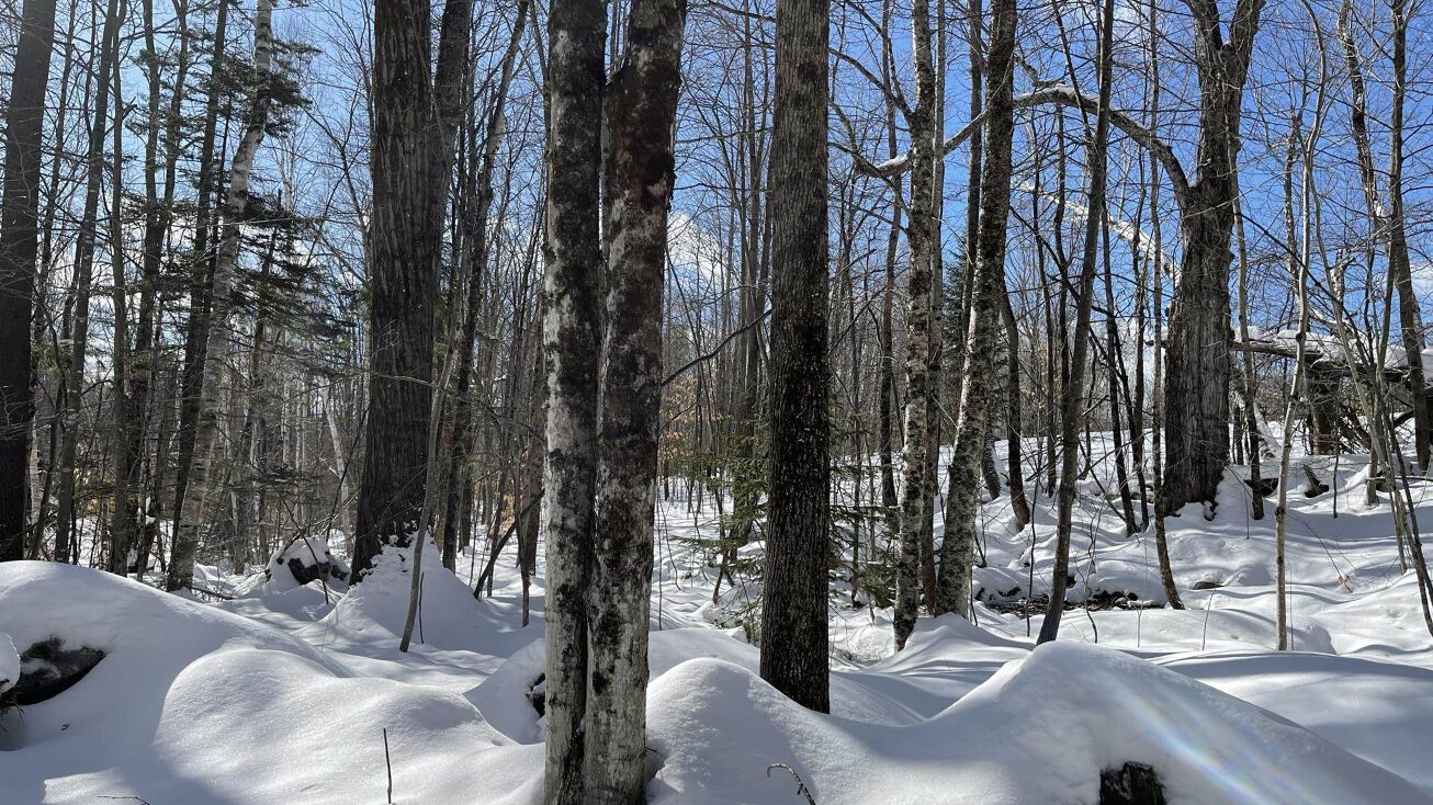 1114 Abbott Rd, Windham, VT 05359