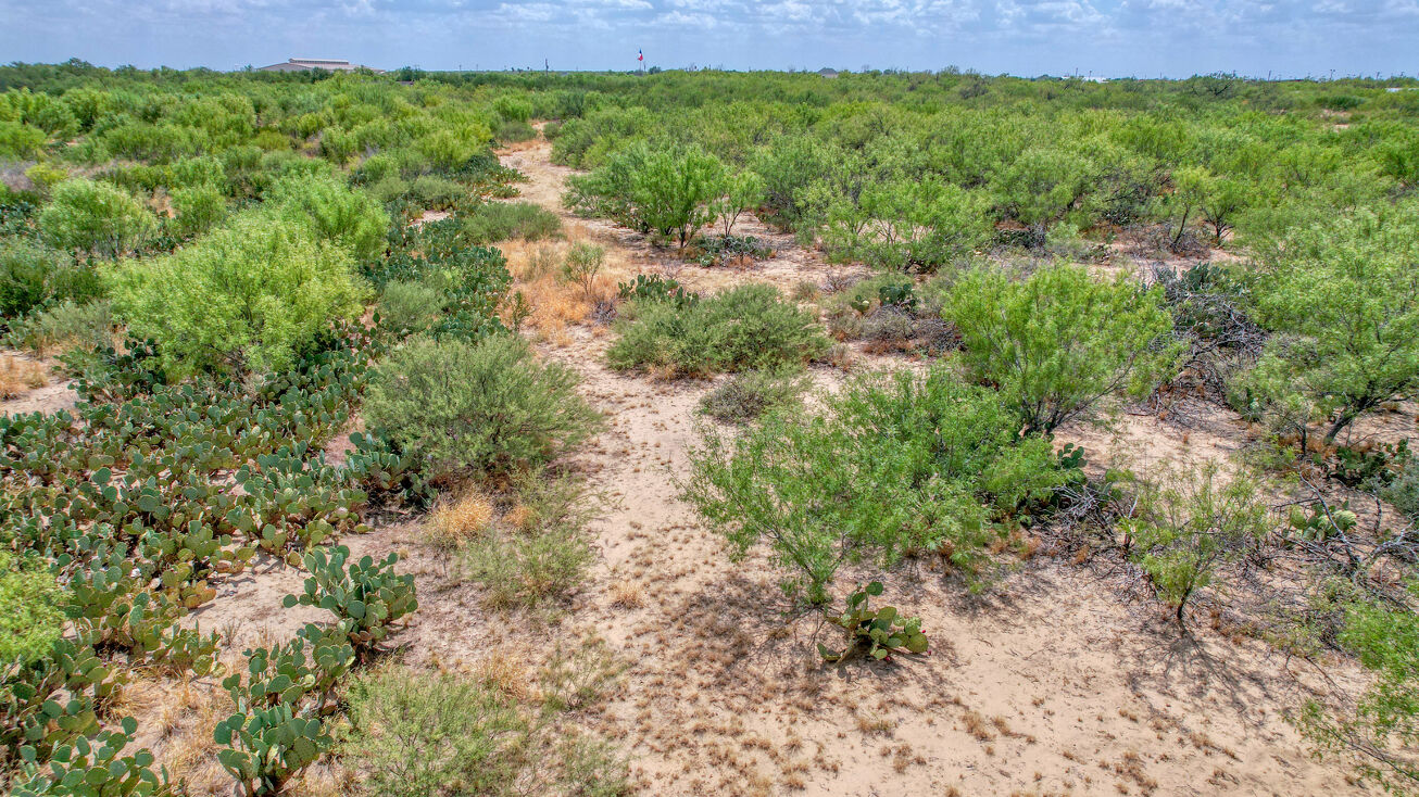 290 Kolos Ln, Carrizo Springs, TX 78834