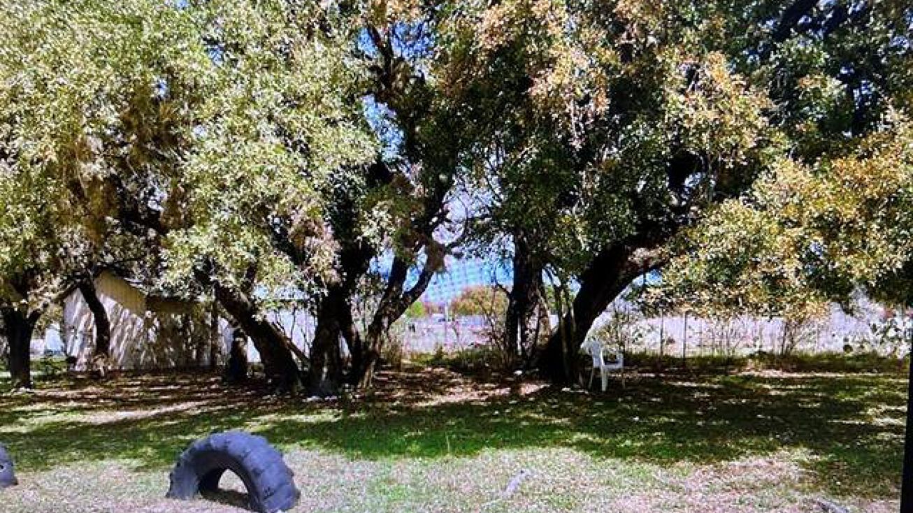 309 E South St, Camp Wood, TX 78833