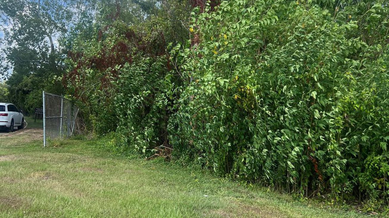 Westbank Expressway & Louisiana, Westwego, LA 70094