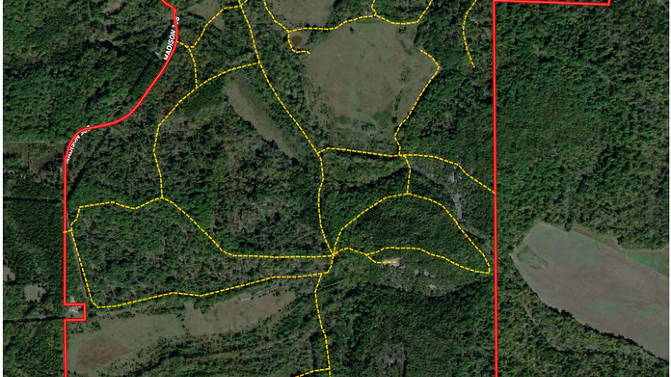 1307 Madison 308, Marquand, MO 63655