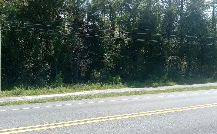Pictures of Mixed Use, Land, Hospitality, Retail property located at 4189 COUNTY ROAD 218, Middleburg, FL 32068 for sales - image #1