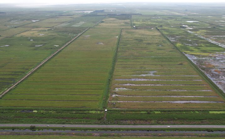 Pictures of Land property located at 121 Denco Rd, Lake Placid, FL 33852 for sales - image #1