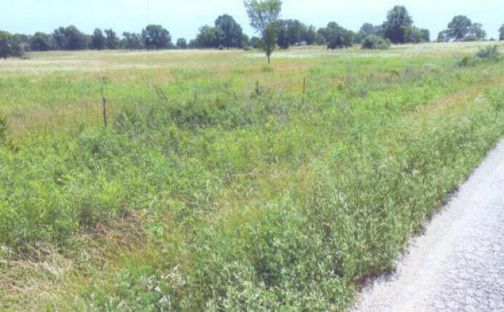 image of property at ?? SE 400 ROAD Clinton MO 64735