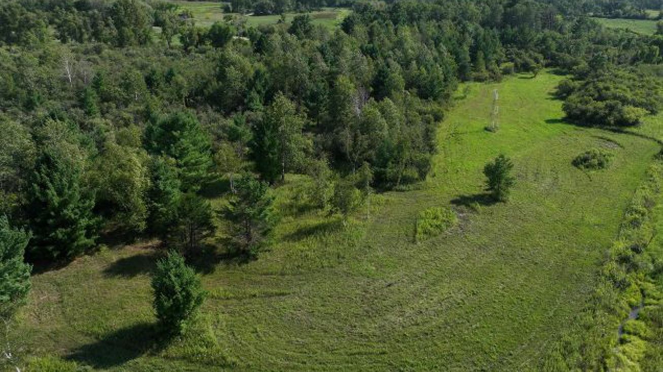 School Rd, Wonewoc, WI 53968