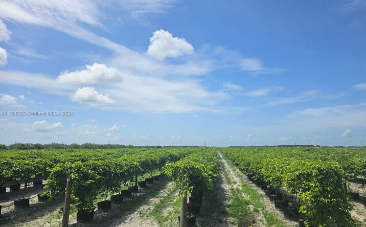 Pictures of Special Purpose property located at Sears Rd 6101 6th, La Belle, FL 33935 for sales - image #1