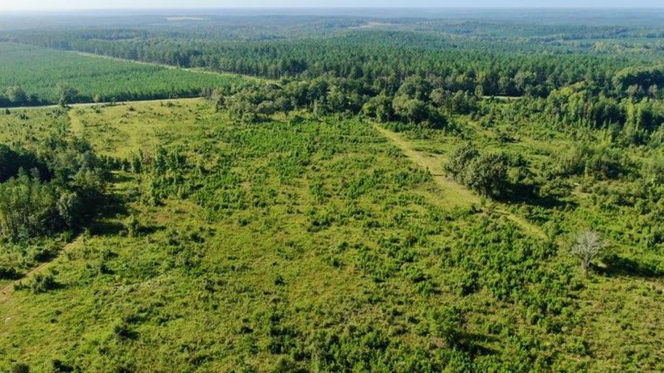 Old Balls Ferry Rd, Toomsboro, GA 31090