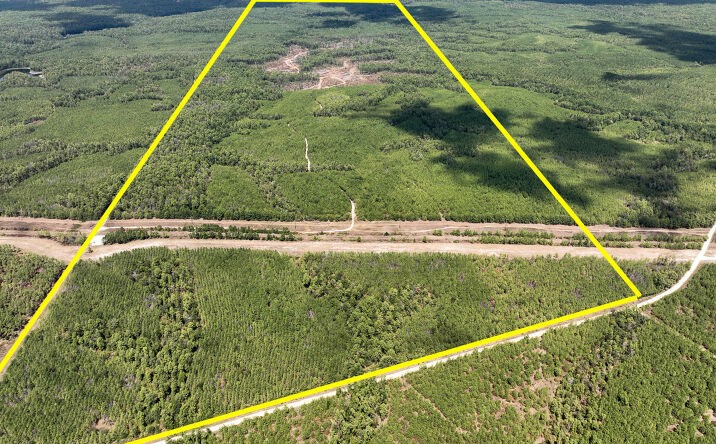 Pictures of Land property located at 00 Lost Indian Camp Rd, Huntsville, TX 77304 for sales - image #1