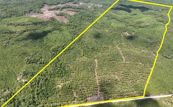 Pictures of Land property located at 000 Lost Indian Camp Rd, Huntsville, TX 77340 for sales - image #1