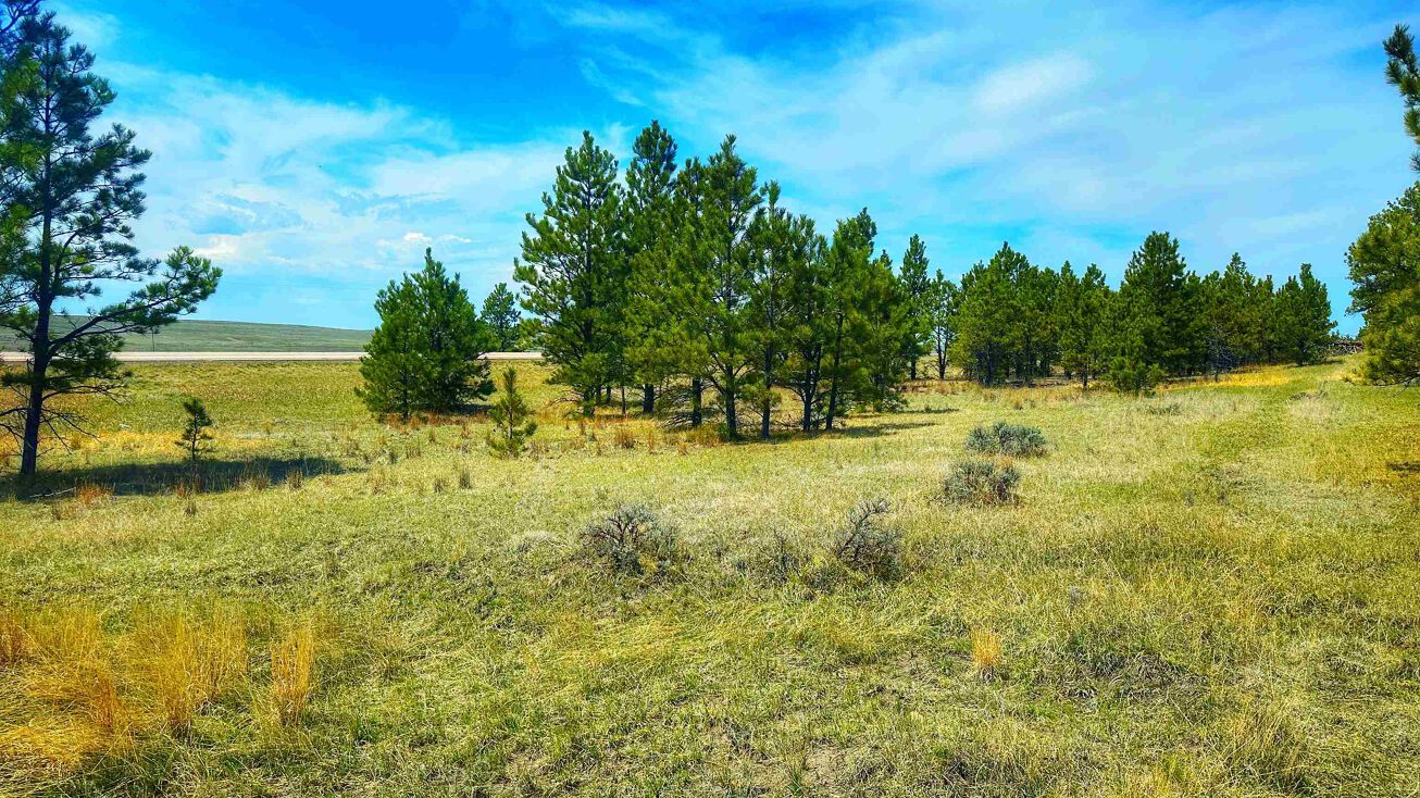 TBD Highway 16, Upton, WY 82730