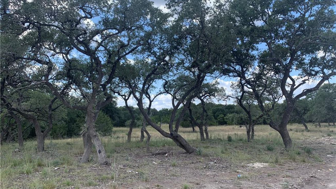 Legacy Hills Dr, Johnson City, TX 78636