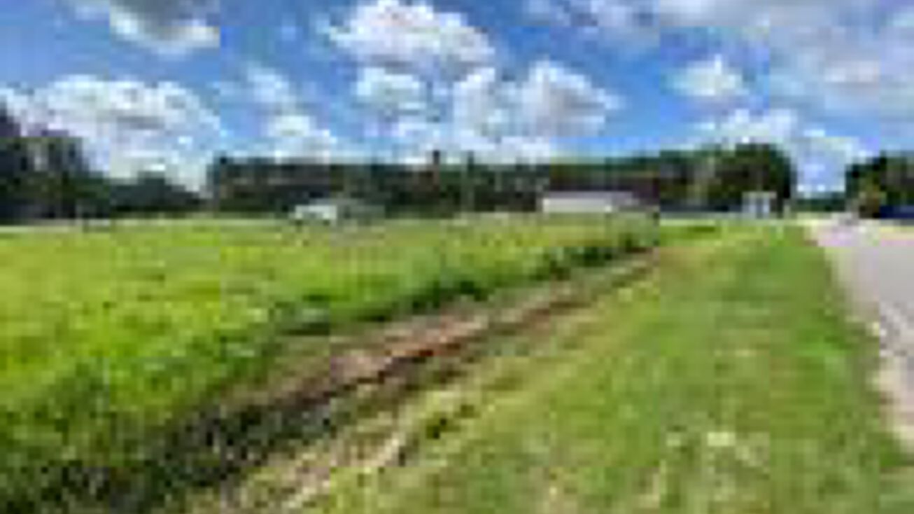 Wilmer Rd, Wilmer, AL 36587