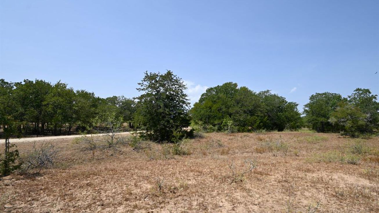 Tr 1 1345 Davis Rd, Muldoon, TX 78949