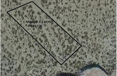 12525991