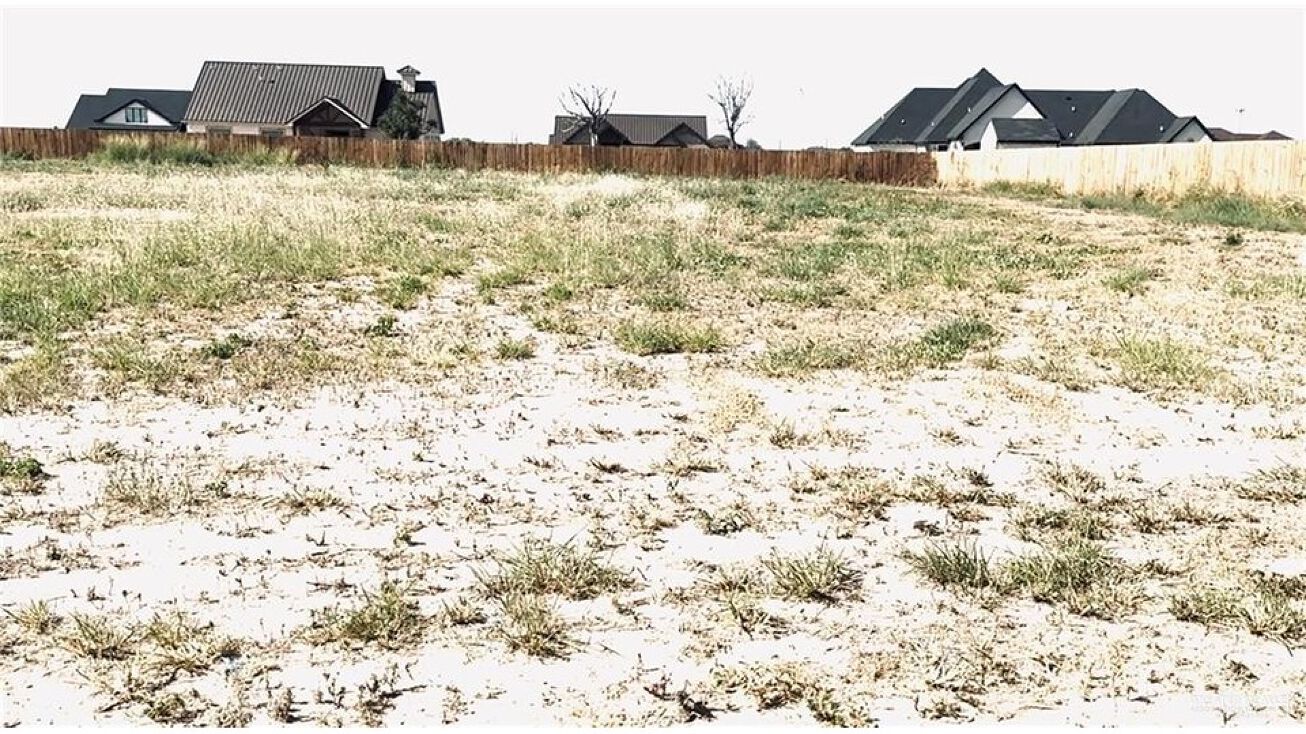 1205 Dorsett Drive, San Juan, TX 78589