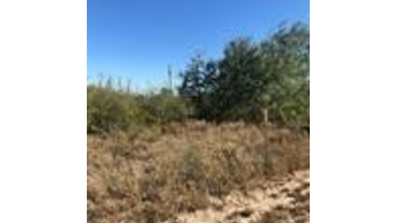 0000 Pino Street, Penitas, TX 78576