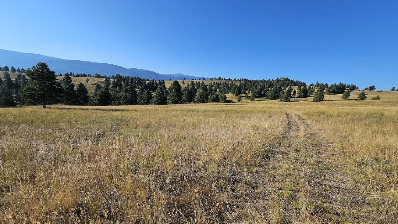 TBD Tall Timbers Ranch,, Clancy, MT 59634